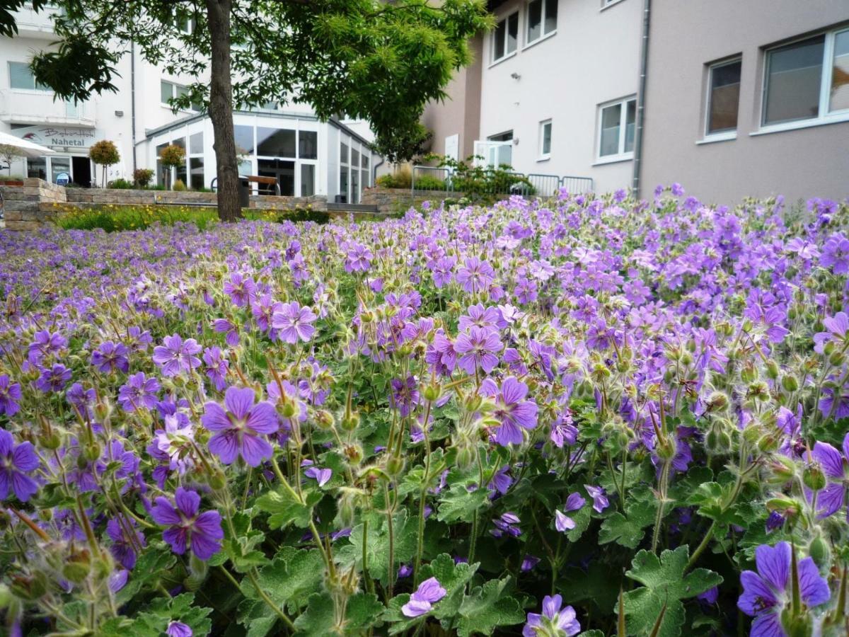 Hotel Nahetal Gensingen Exteriér fotografie